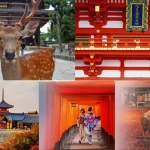 Kiyomizu Temple, Fushimi Inari Shrine, and Nara Park Day Tour (Small Group Tour from Osaka and Kyoto)