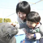 Minamichita Beach Land Admission in Aichi