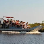 Large Airboat Swamp Tour with Transportation from New Orleans