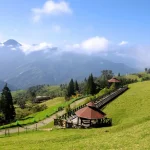 Nantou Qingjing Farm and Hehuan Mountain One-Day Tour from Taichung