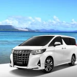 Okinawa and Surrounding Areas Private Car Charter