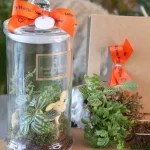 Pingtung: DIY Handmade Experience (Plant Eco Bottle / Green Plant Planet)