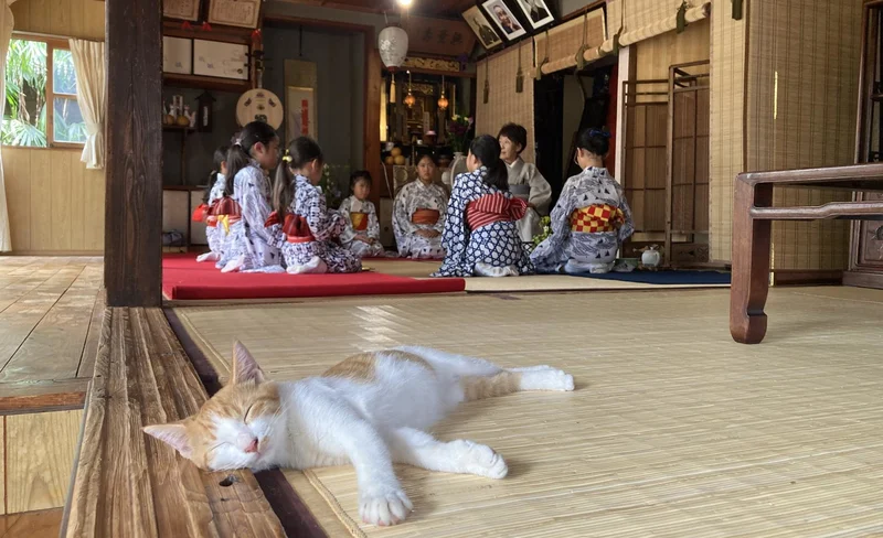 A Japanese Traditional Tatami Room Dance by Sumiyoshi Sachu