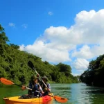 Mangrove Kayak Tour in Hijya River