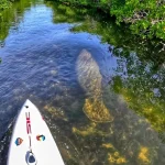 Florida Keys Marine Eco Adventure