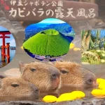 [Seasonal Limited] Hakone Izu Day Tour | Hakone Shrine & Izu Cactus Zoo & Capybara Hot Springs & Mt. Omuro (Depart from Tokyo)