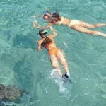 Snorkel Adventure and Sandbar Trip Experience in Islamorada