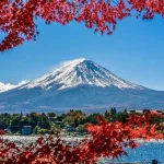 Mount Fuji popular check-in day tour｜Arakurayama Park + Hikawa Watch Shop + Kawaguchiko Oishi Park/Red Leaf Corridor maple viewing limited + Gotemba Outlets (shopping/hot springs)