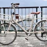 Sun Moon Lake: Bole Electric Bikes – Bike Rental Vouchers