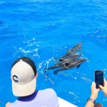 Kona Snorkel & Dolphin Watching Tour