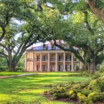 Oak Alley Plantation Tour with Transportation from New Orleans