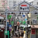 Ueno & Yanaka & Sendagi Heritage Private Walking Tour