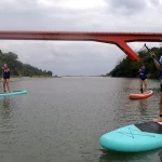 Taitung｜Mawu Grottoes SUP｜Ink Scenery Stand Up Paddle Ecological Tour