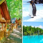 Asahiyama Zoo + Seasonal Itinerary + Forest Fairy Terrace One-Day Tour | Departing from Sapporo