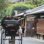 Kyoto One Day Highlight Bus Tour