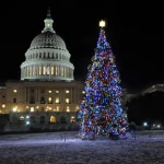 Washington DC Holiday Lights Tour