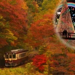 Autumn Maple Leaves Sightseeing Day Tour from Tokyo