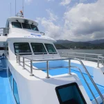 Hualien: Whale-Watching Tour by Huaqi No. 268