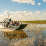 Everglades Airboat & Gator Experience