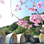 Miaoli Camping: Camping Experience at Mountain and Secret Camping