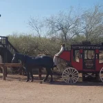 Apache Trail Adventure Day Tour from Scottsdale and Phoenix