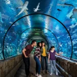 Shark Reef Aquarium Admission in Las Vegas