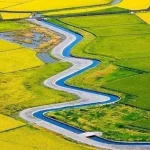 Paddy Field Canoe Experience in Yilan