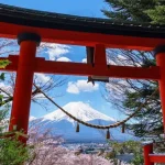 Mount Fuji & Hakone One Day Tour Customized Chartered Car