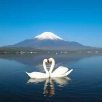 Mount Fuji Twin lakes Fujiyoshida tour (from Tokyo or Kawaguchiko)