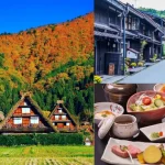 Shirakawago & Hida Takayama One Day Bus Tour from Nagoya