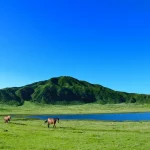 Kusasenri & Mount Aso One Day Tour with Akaushi Lunch