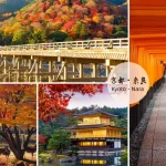 Kyoto and Nara Day Tour from Osaka/Kyoto