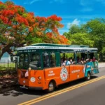 Key West Old Town Trolley Hop-On Hop-Off Tour