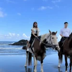 Horse Riding in Yilan by Hills Horses House