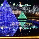 Strawberry Picking, All-You-Can-Eat-Crab and Ashikaga Flower Park/Lake Sagami Light Show from Tokyo