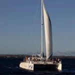 Exclusive Whale Watching with Experts Tour in Maui