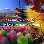 Mt Fuji tour with lunch (Vegetarian/ Muslim-friendly meal available)