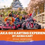 Osaka Go Karting Experience by Akiba Kart