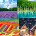 [Hokkaido Summer Internet Celebrity Check-in] Patchwork Road Seven Star Trees & Four Seasons Color Hill & Blue Pond & Shirahige Falls & Farm Tomita & Fairy Terrace Day Tour