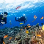 Discover scuba diving, Fun diving and Diving courses in Kenting