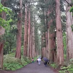 Togakushi Day Tour:Hands-on Soba Noodles,Ninja Village,Hidden Shrine