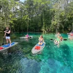 Kayak or Paddle Board Gator Tour in Silver Springs