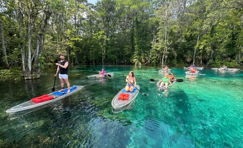 Kayak or Paddle Board Gator Tour in Silver Springs