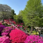 Tokyo Yanaka Walking Tour