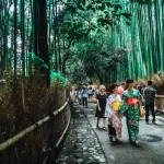 Arashiyama Bamboo Forest Half Day Tour