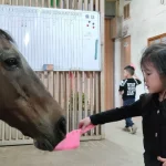 Horse Riding Experience in Yilan