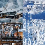 [Two-day winter skiing tour] Zao Onsen Ski Resort skiing/ice trees (optional) + Ginzan Onsen/Ouchijuku + Miyagi Fox Village (departing from Tokyo)