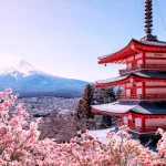 Tokyo City Car Rental with Driver to Fuji Area/ Hakone