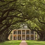 Swamp Boat Ride and Oak Alley Plantation Tour from New Orleans