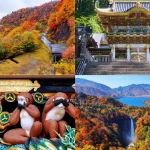 [Nikko Fall Leaves Limited] Nikko Fall Leaves Viewing Day Tour with Chinese/English Tour Guide (Departing from Shinjuku)